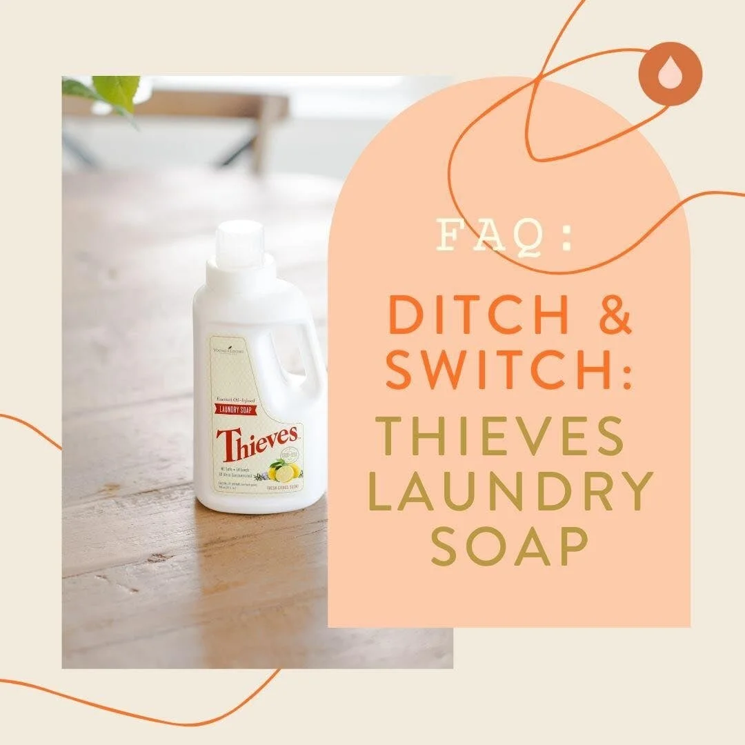 Ditch and Switch : Thieves Laundry Soap