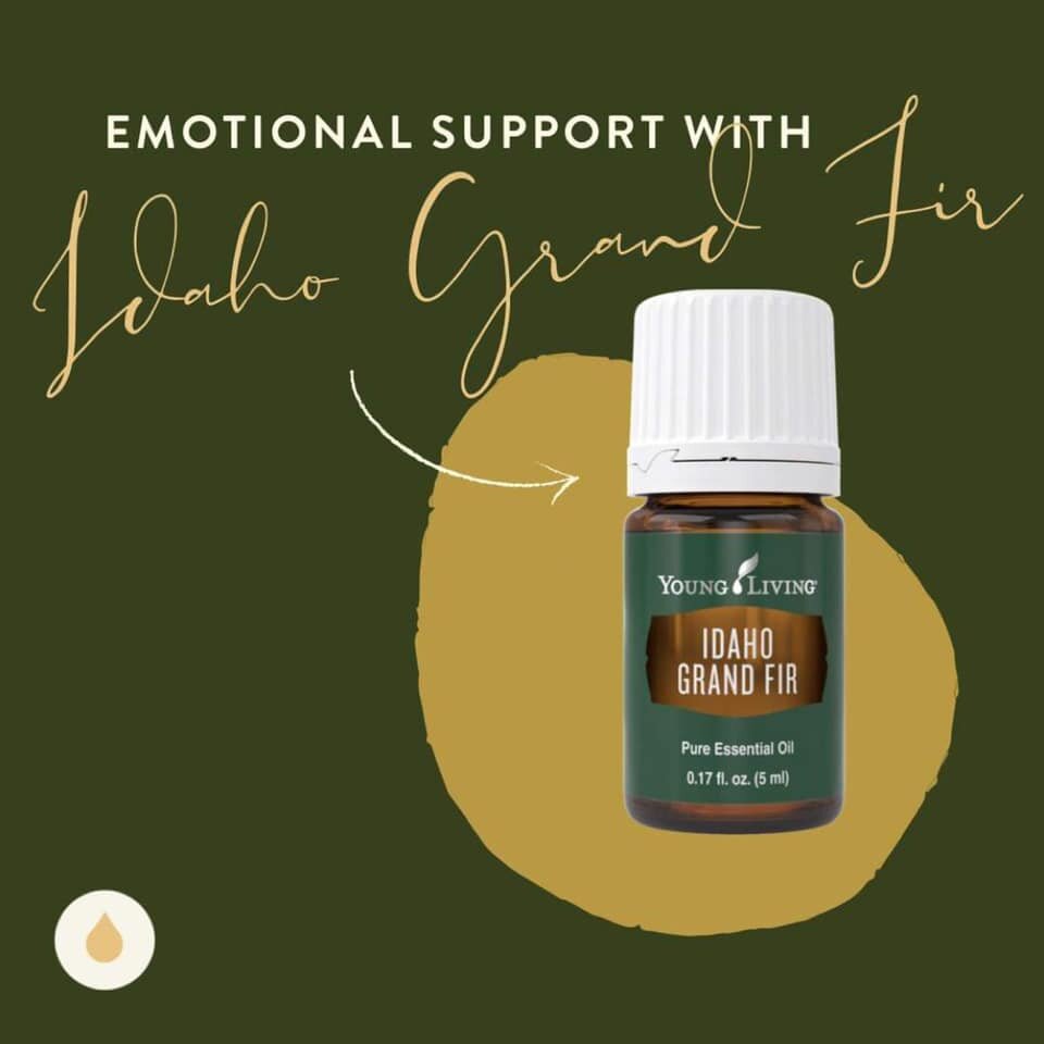 Emotional Education : Idaho Grand Fir