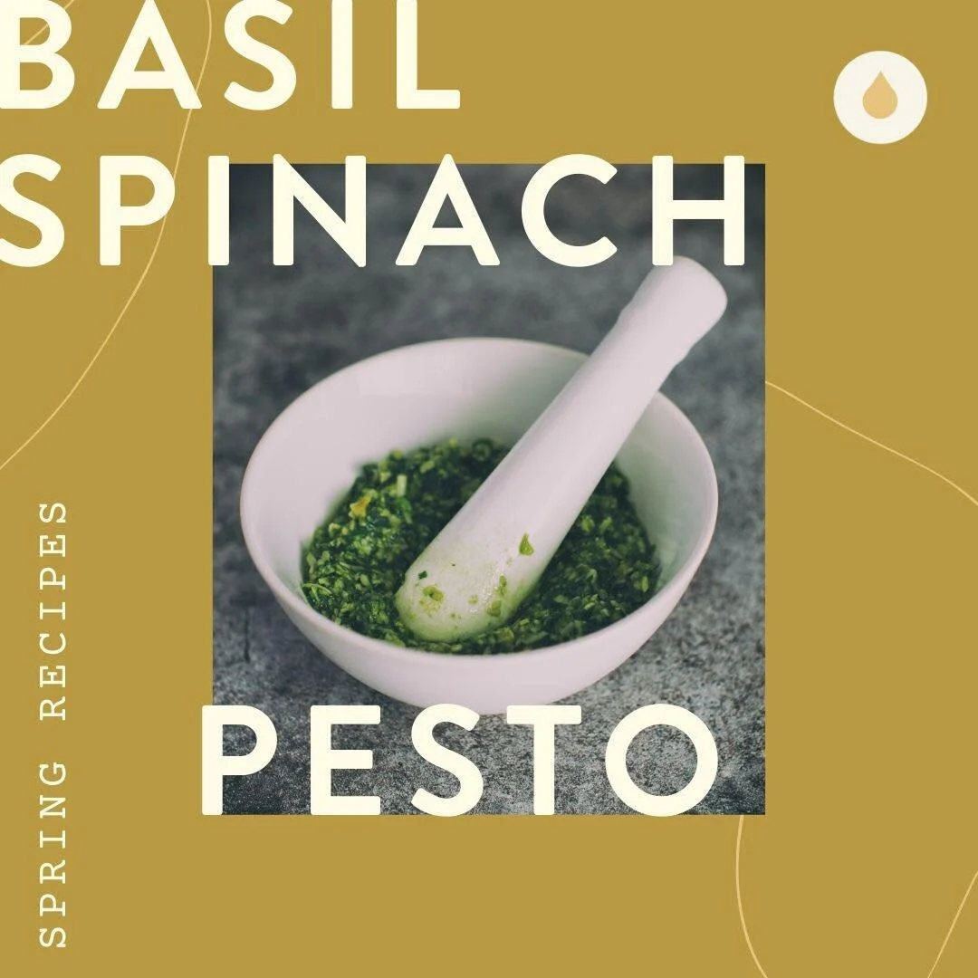 Oil Infused Recipe : Basil Spinach Pesto