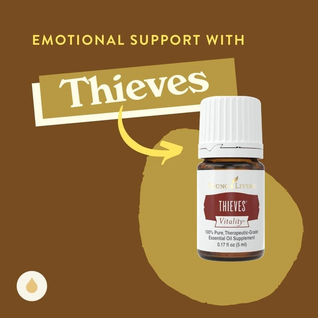 Emotional Education : Thieves