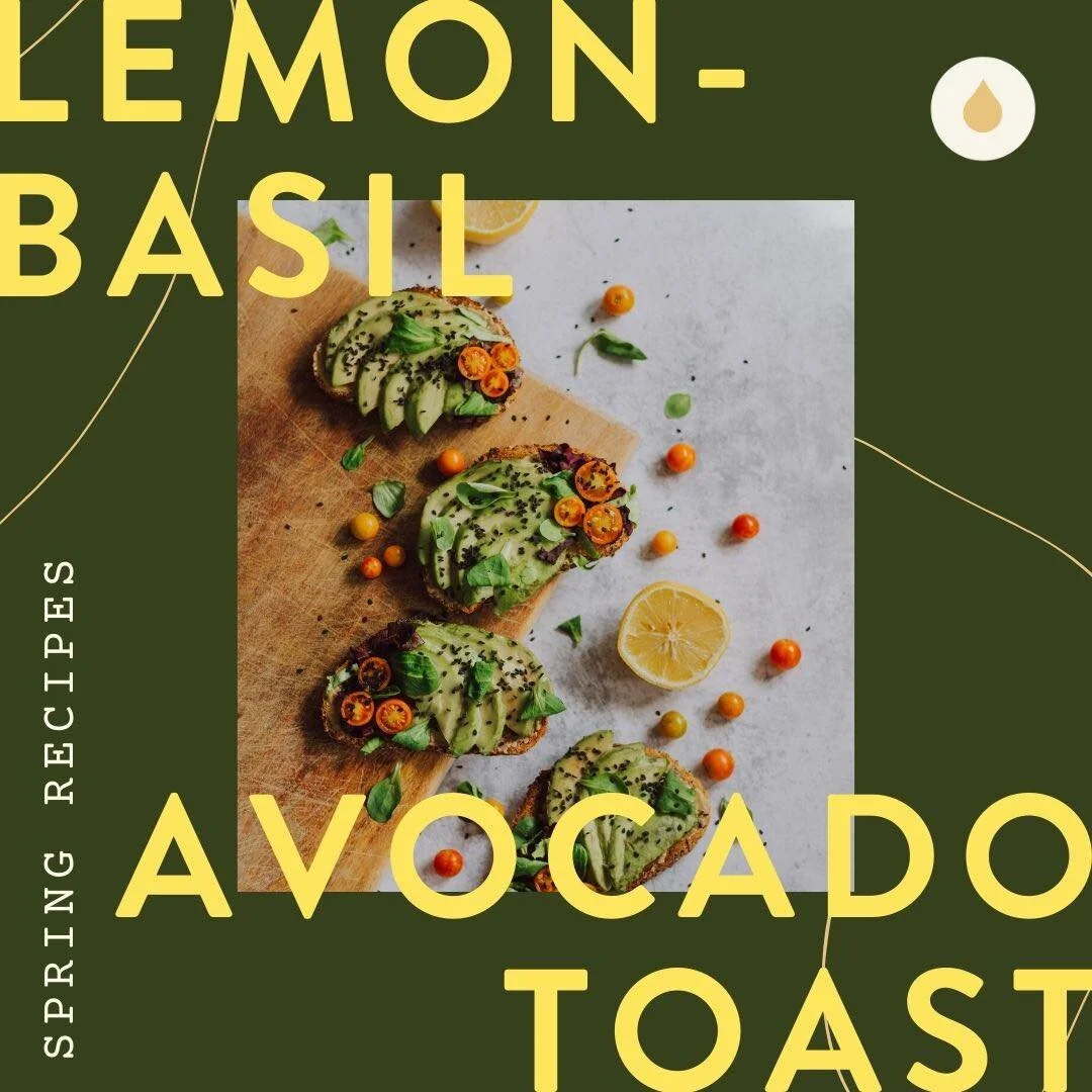 Oil Infused Recipe : Lemon Avocado Toast