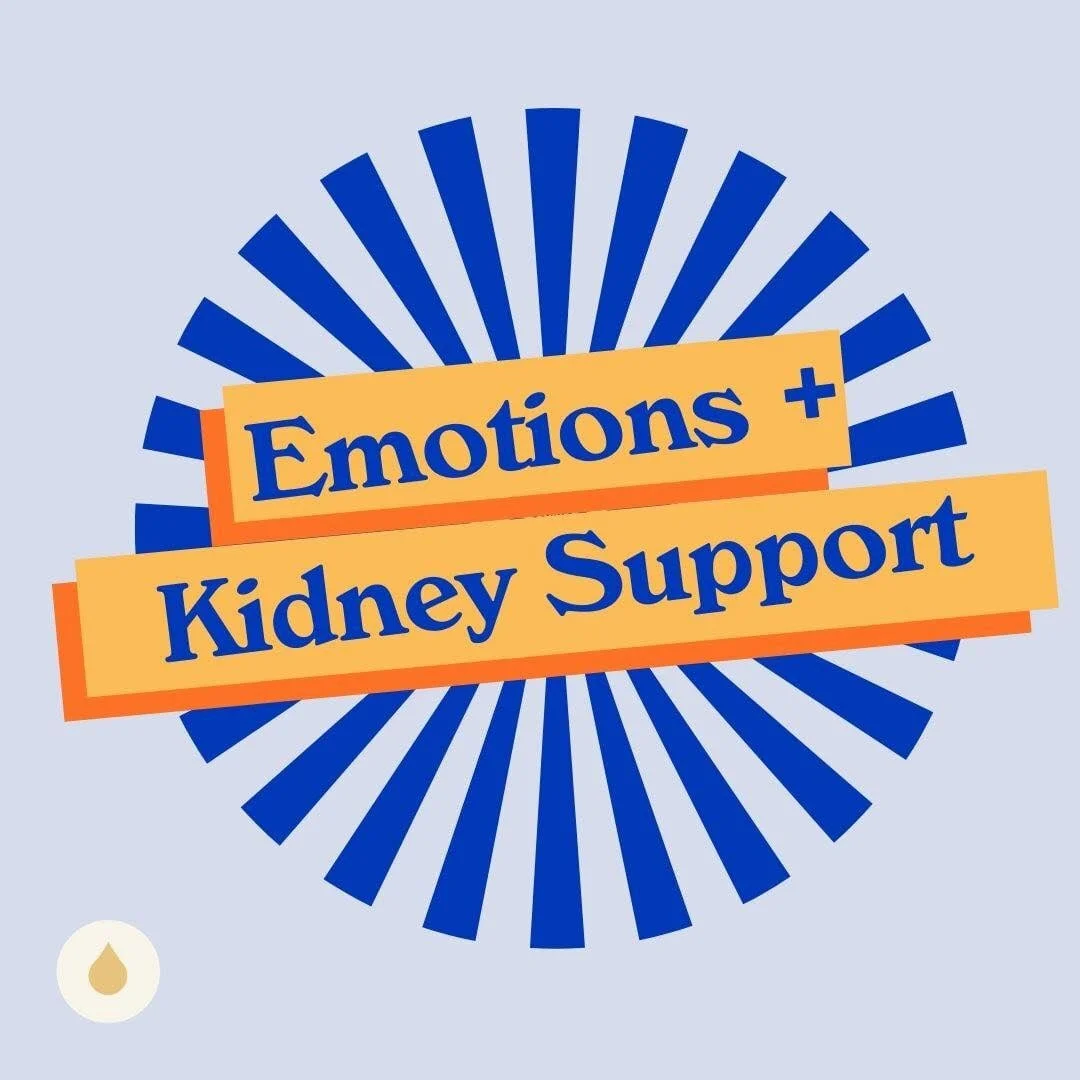 Emotional Education : The Kidneys
