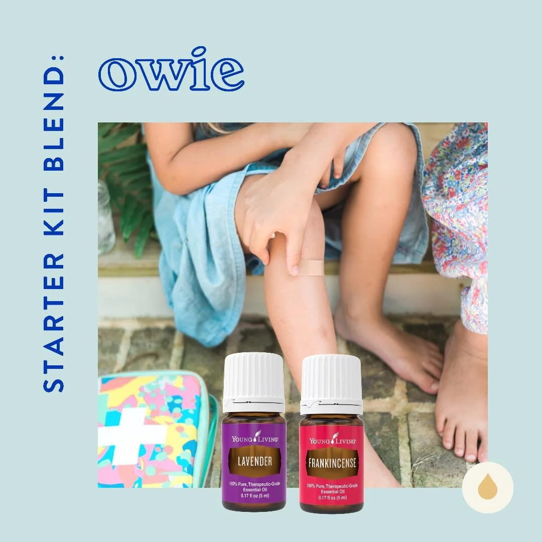 Starter Kit Roller : Owie