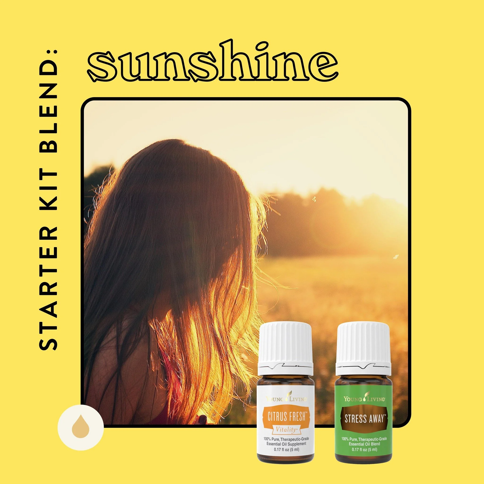 Starter Kit Roller : Sunshine