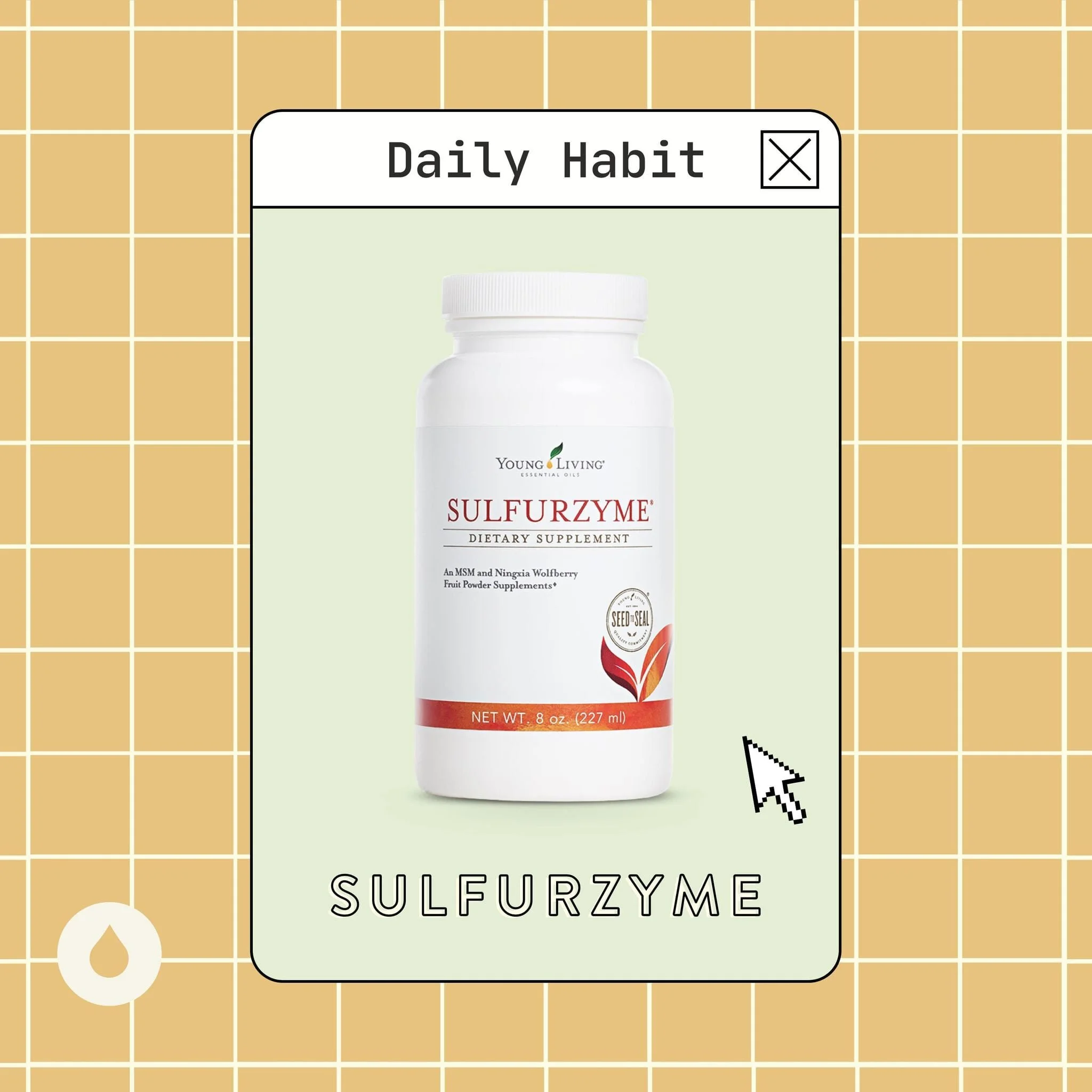 Daily Habits : Sulfurzyme