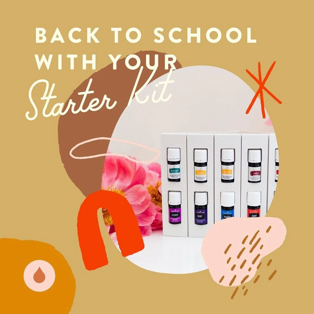 Starter Kit Favorites : Back to School