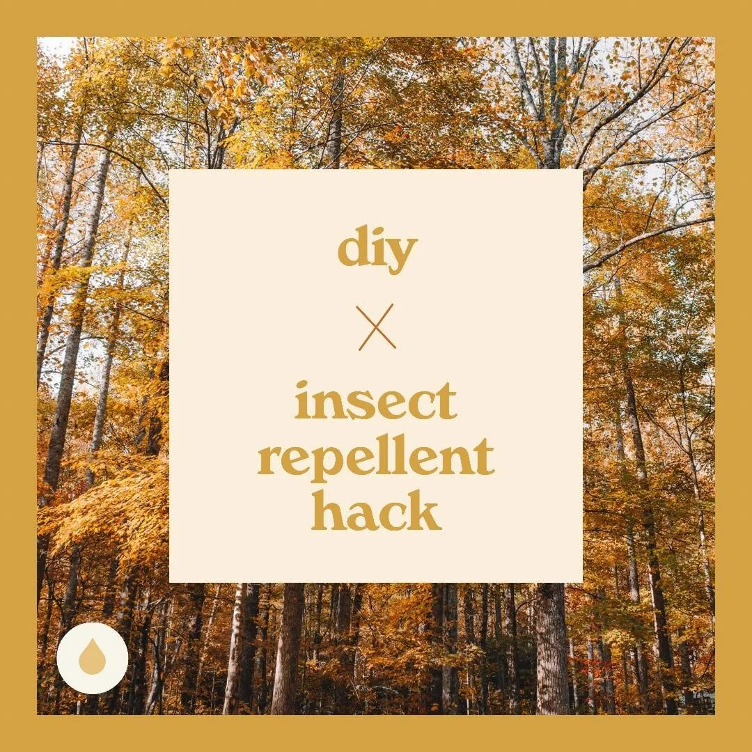 DIY Insect Repellent Hack