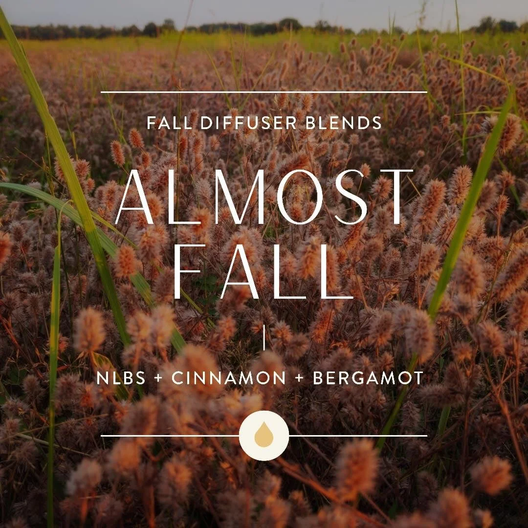 Diffuser Blends : Almost Fall