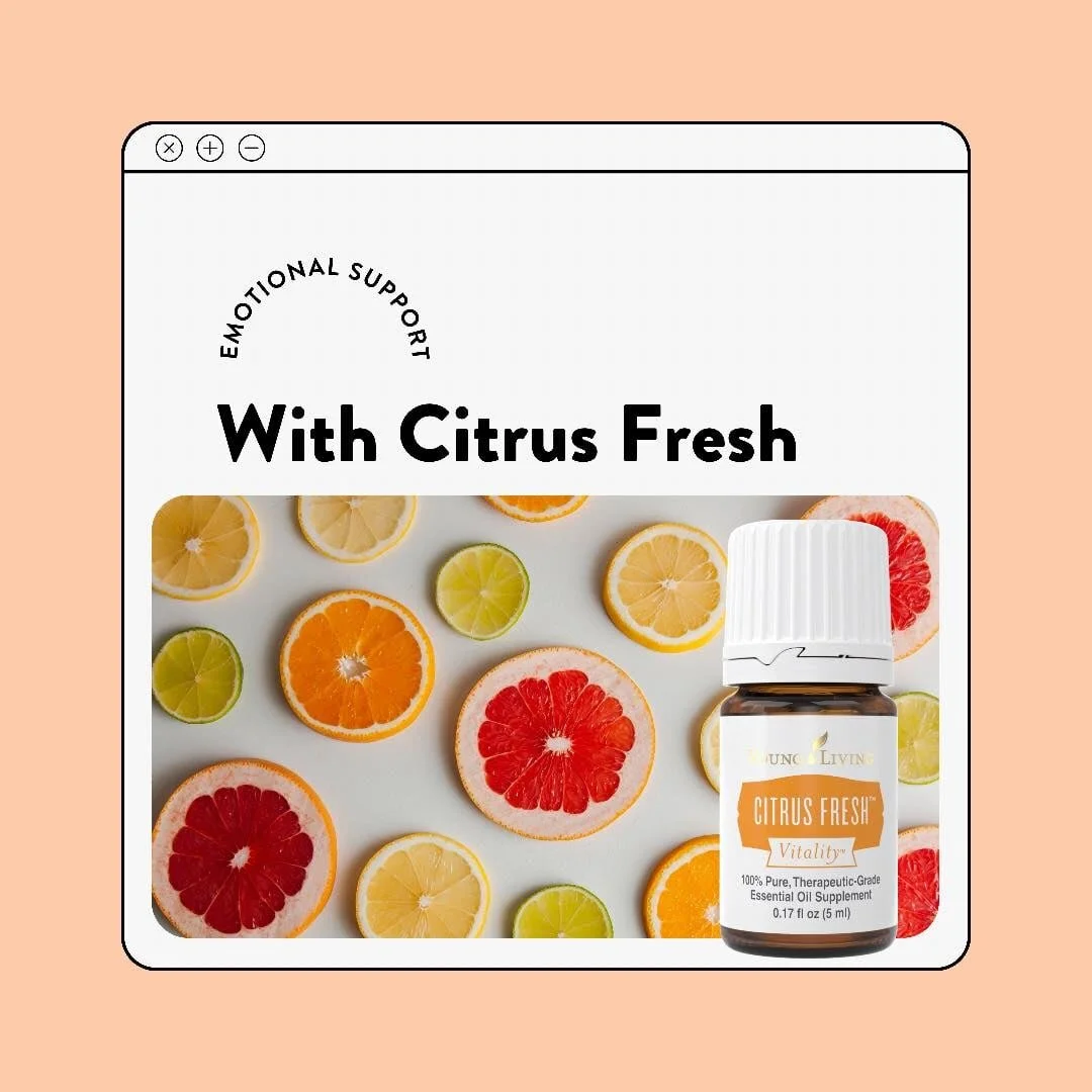 Emotional Education : Citrus Fresh