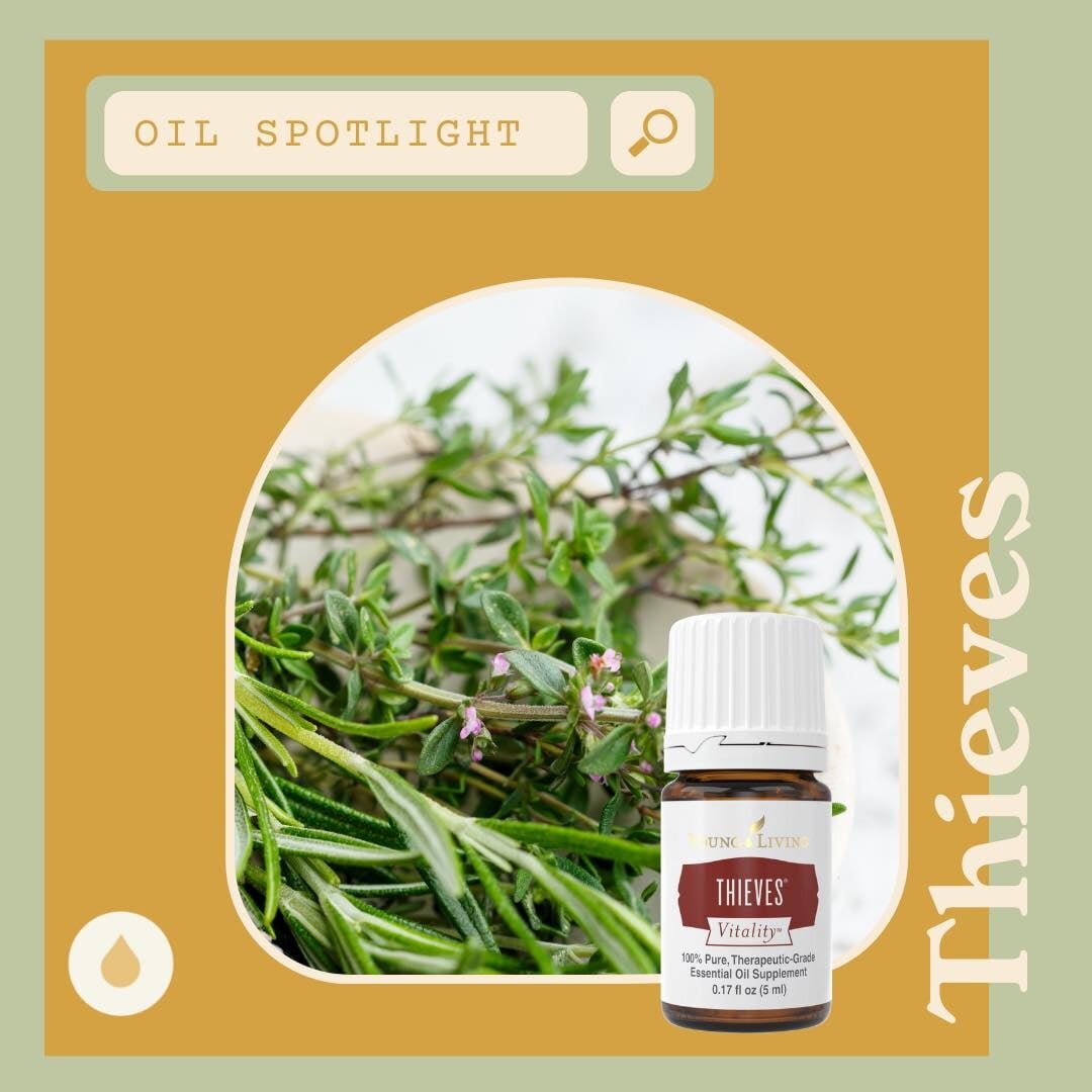 Oil Spotlight : Thieves