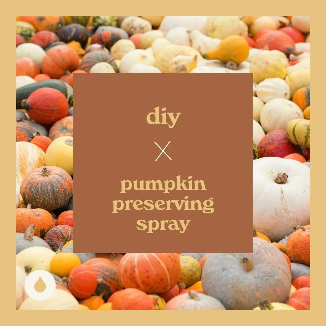 DIY Pumpkin Preserving Spray