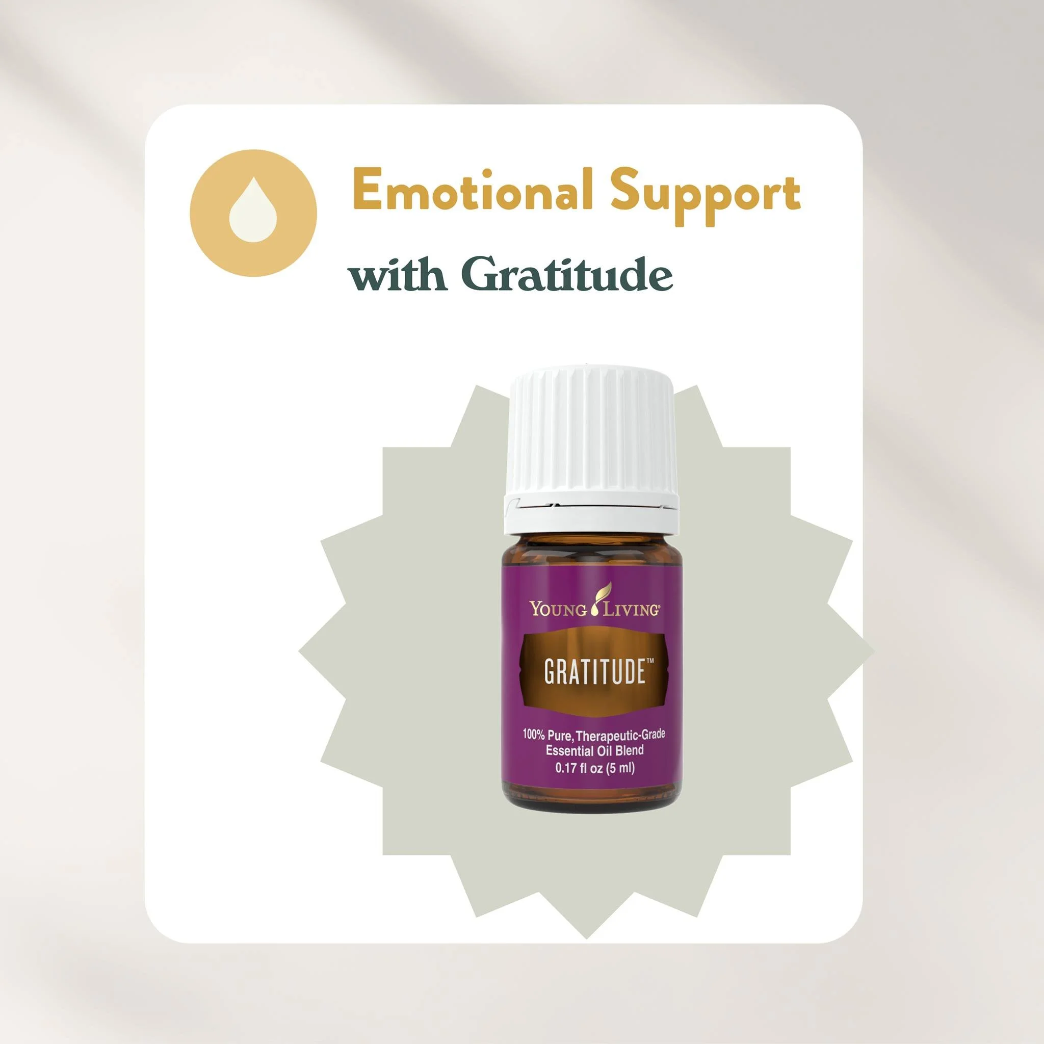 Emotional Education : Gratitude