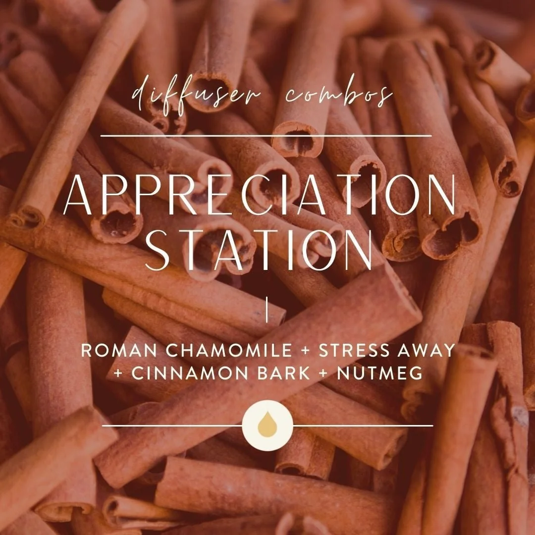 Thanksgiving Diffuser Blend: Appreciation Station
