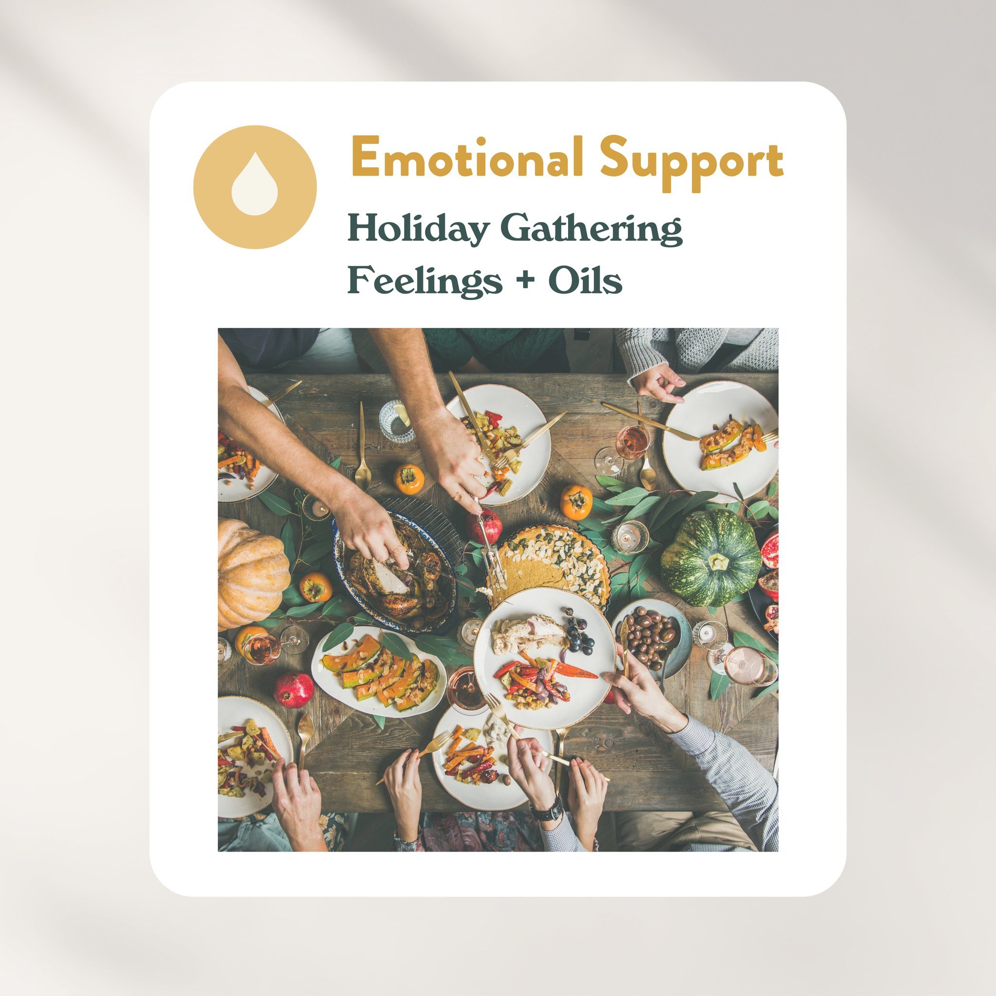Emotional Support: Holiday Gatherings