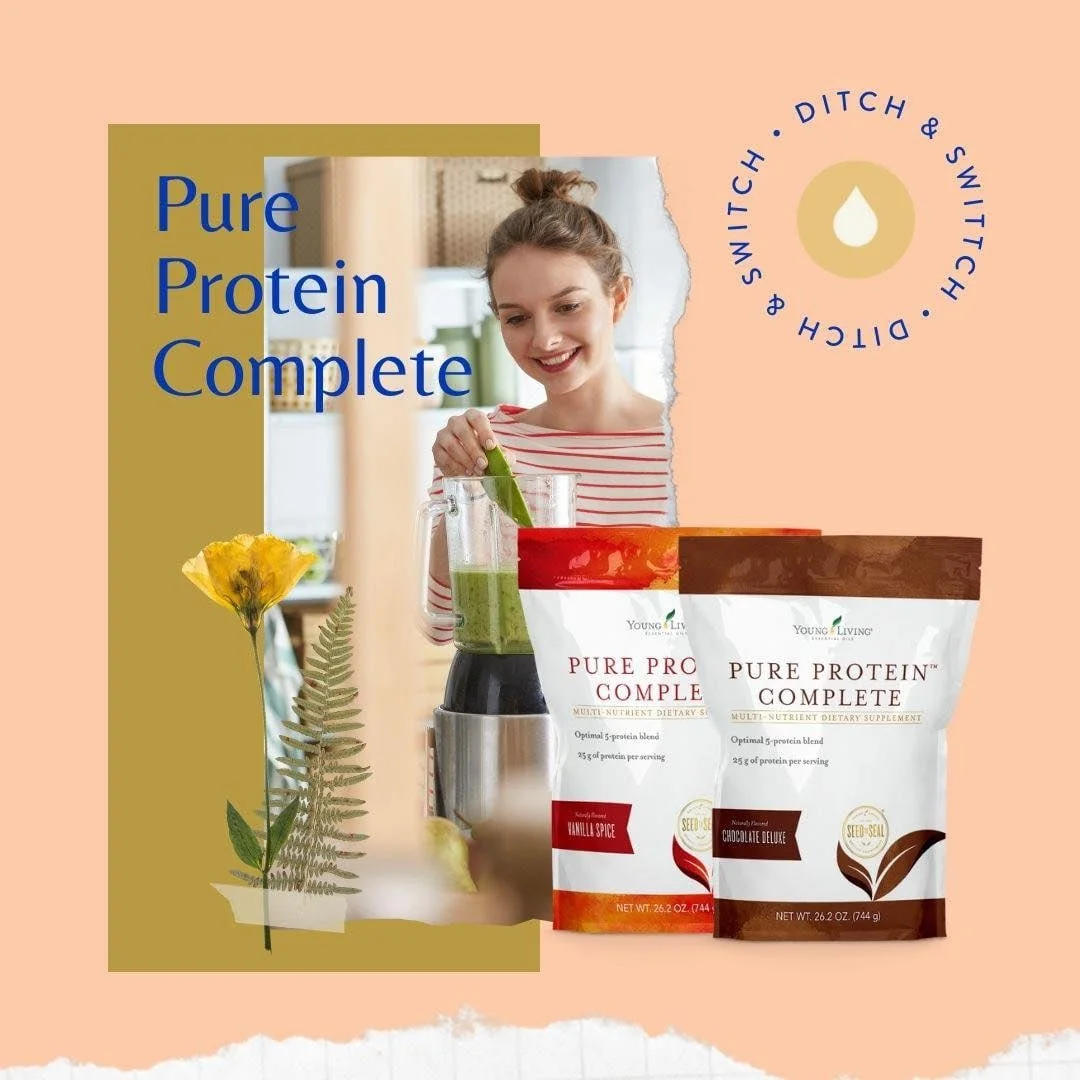 Hot Cocoa with Pure Protein