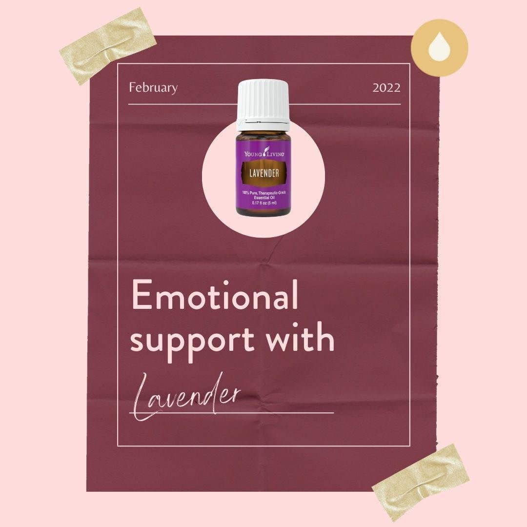 Emotional Support: Lavender