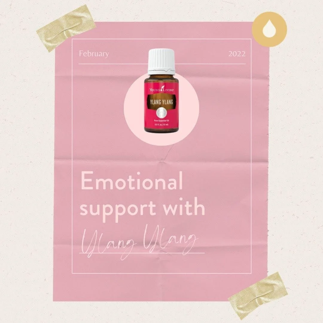 Emotional Education: Ylang Ylang