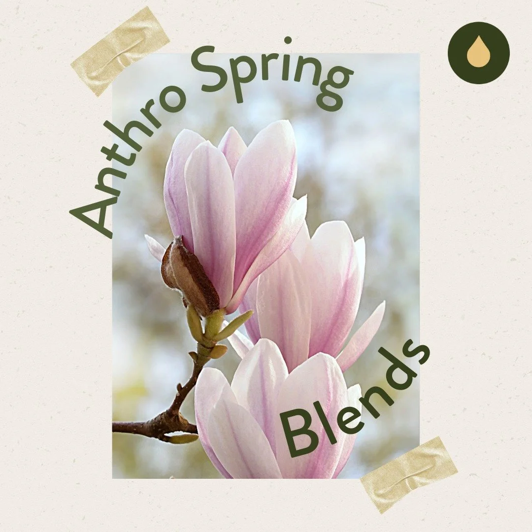 Anthro Spring Diffuser Blends