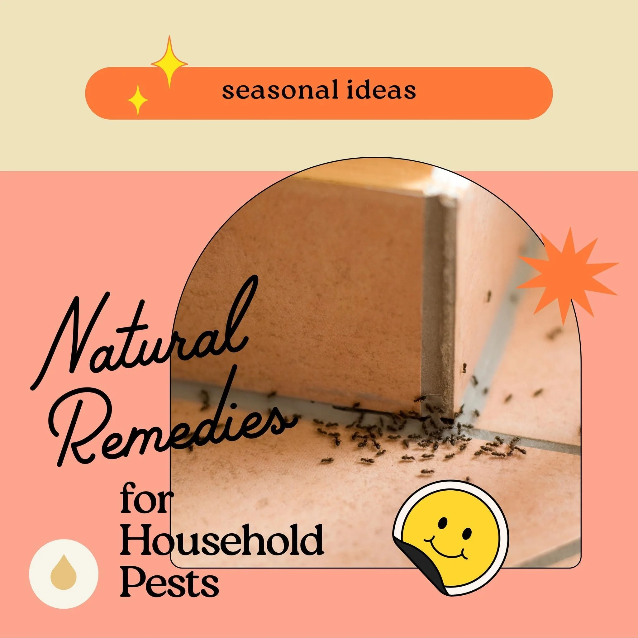 DIY for Household &amp; Garden Pests