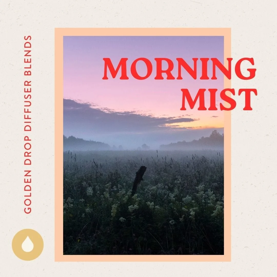 Morning Mist Diffuser Blend