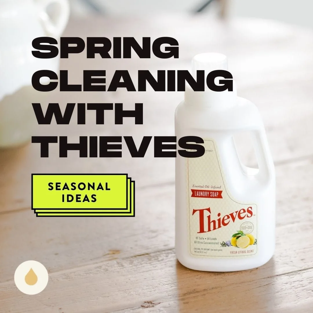 Spring Cleaning with Thieves