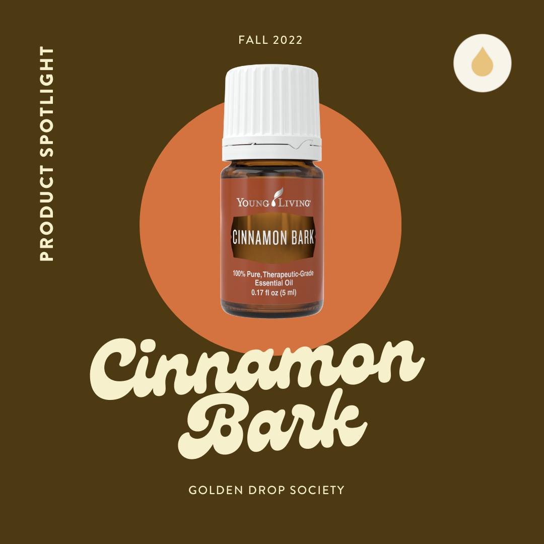 Oil Spotlight: Cinnamon Bark