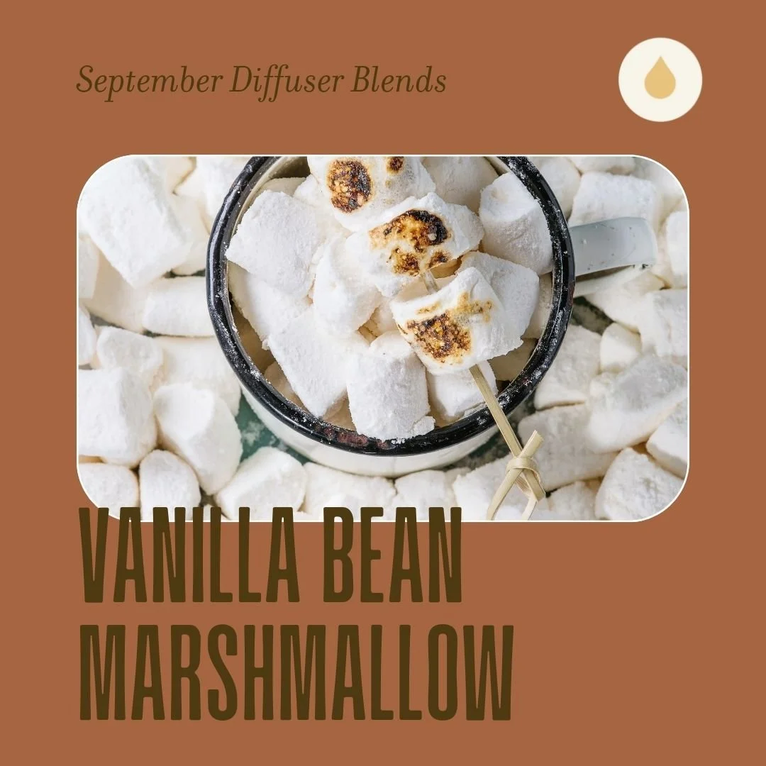 Vanilla Bean Marshmallow Diffuser Blend