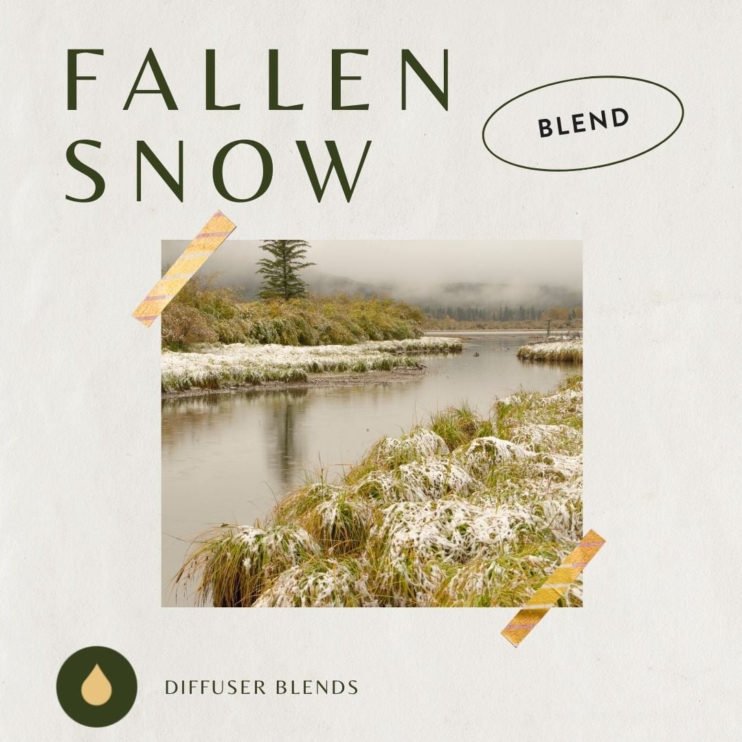 Fallen Snow Diffuser Blend