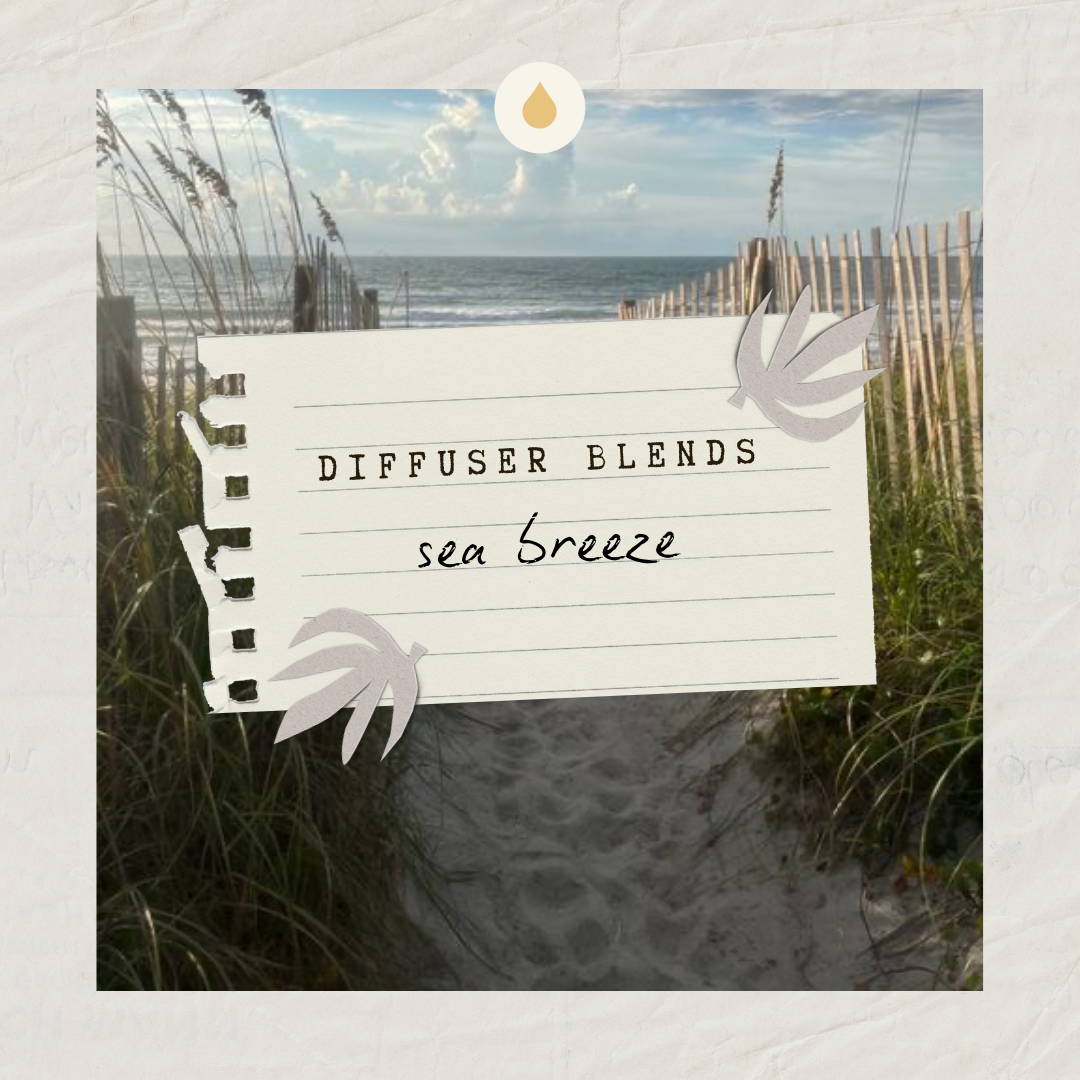 Sea Breeze Diffuser Blend