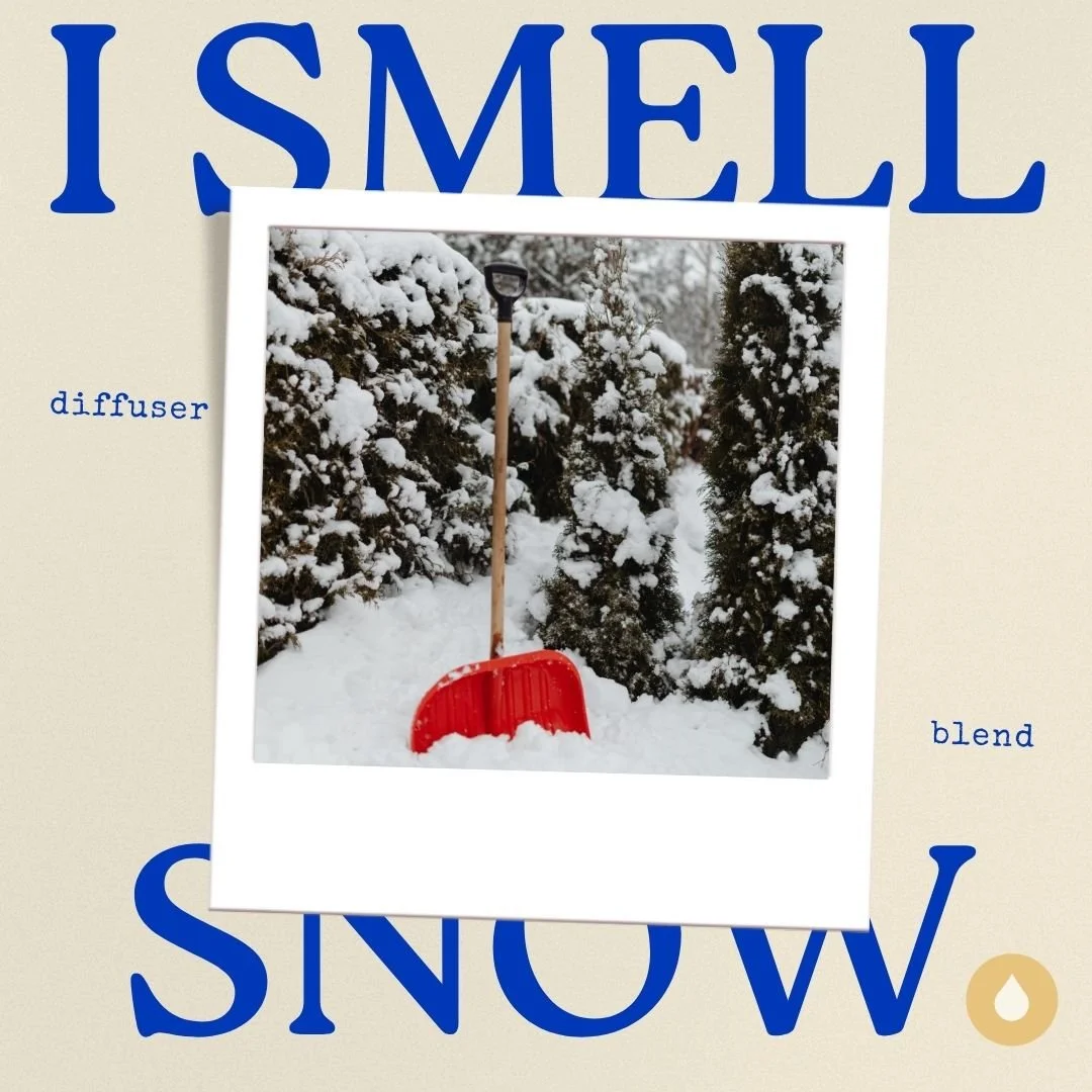 I Smell Snow Diffuser Blend
