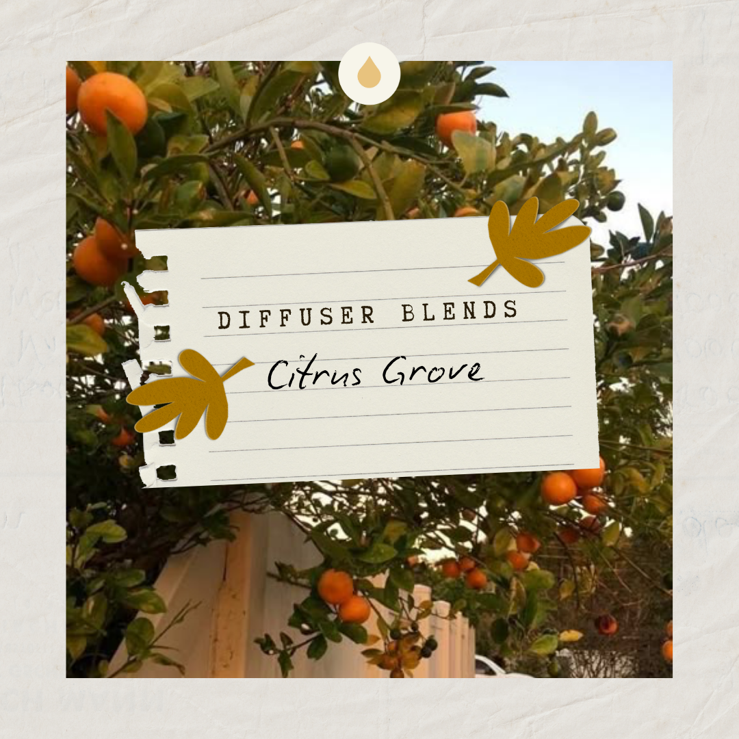 Citrus Grove Diffuser Blend