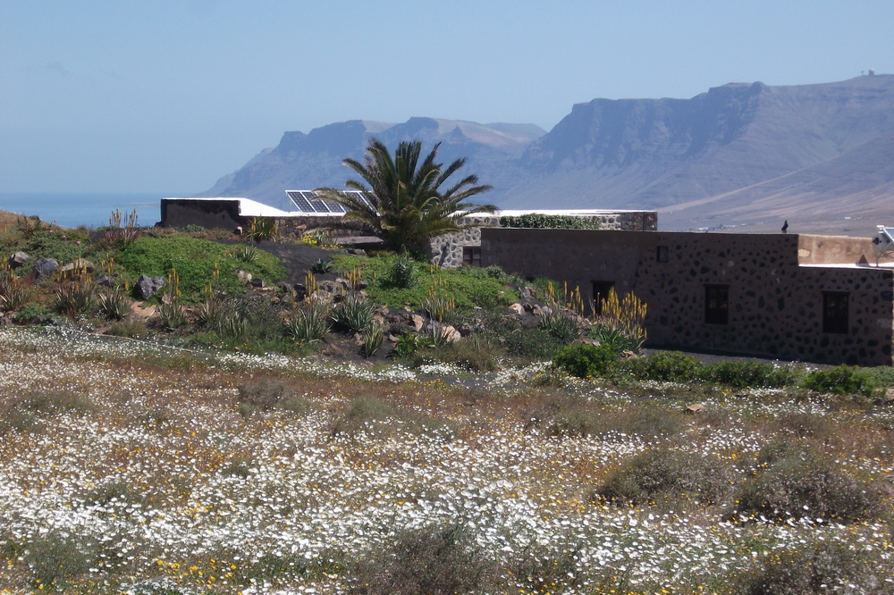 Here is an aspect of the Jewel of the Sands 3 bedroomed Eco Cottage Lanzarote Finca with the beautiful Famara cliffs in the background from where the previous picture was taken