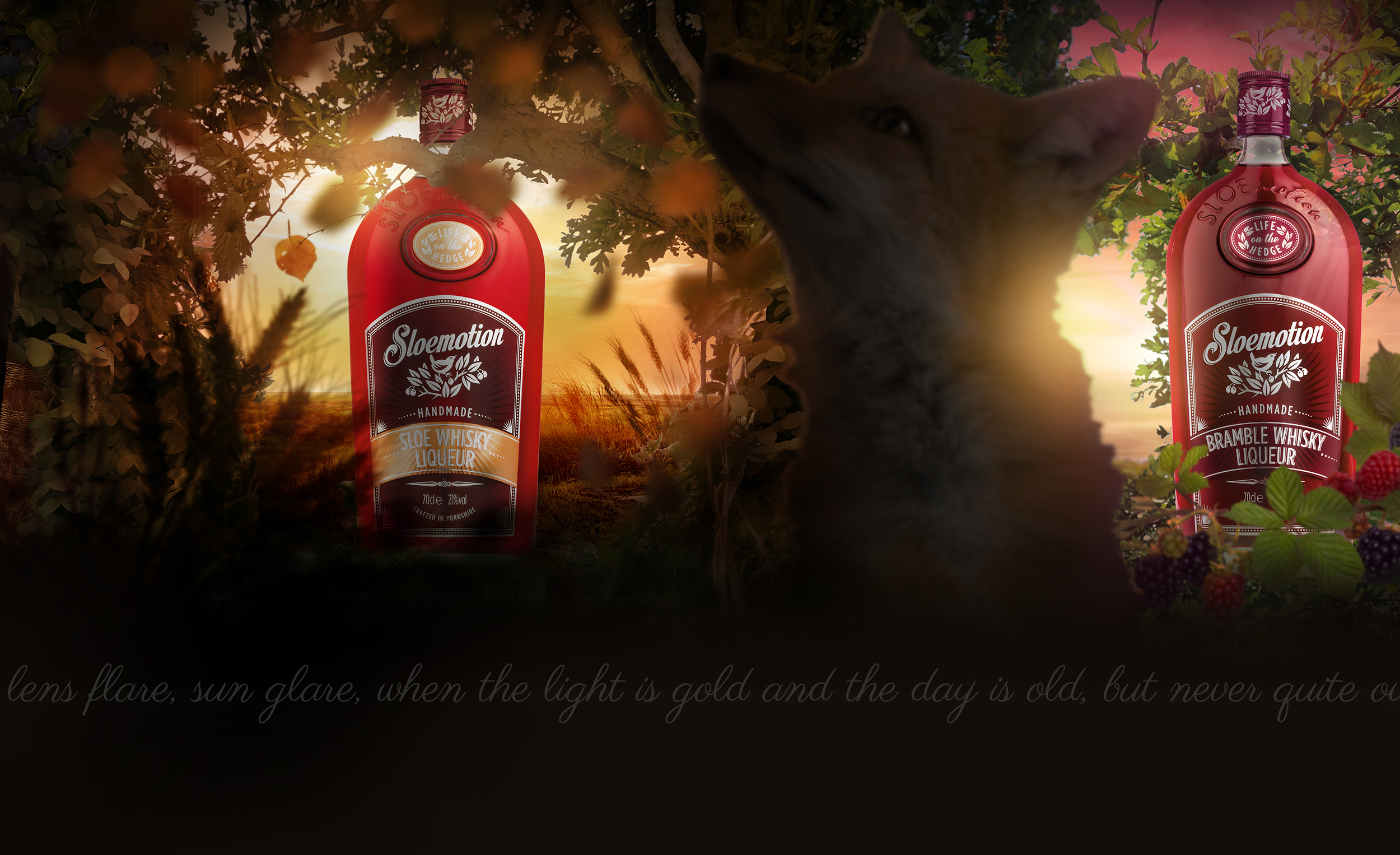 SLOEMOTION 'MAGIC HOUR' WEBSITE