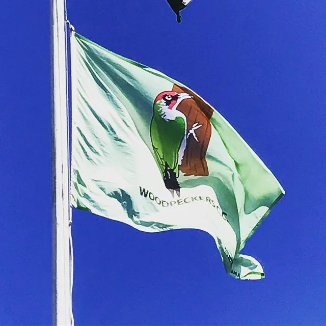 The Pecker flag fluttering against the bluest of skies in SW London. #SundayCricket #NewMalden #BlueSkies #Flags #FlagsOfTheWorld