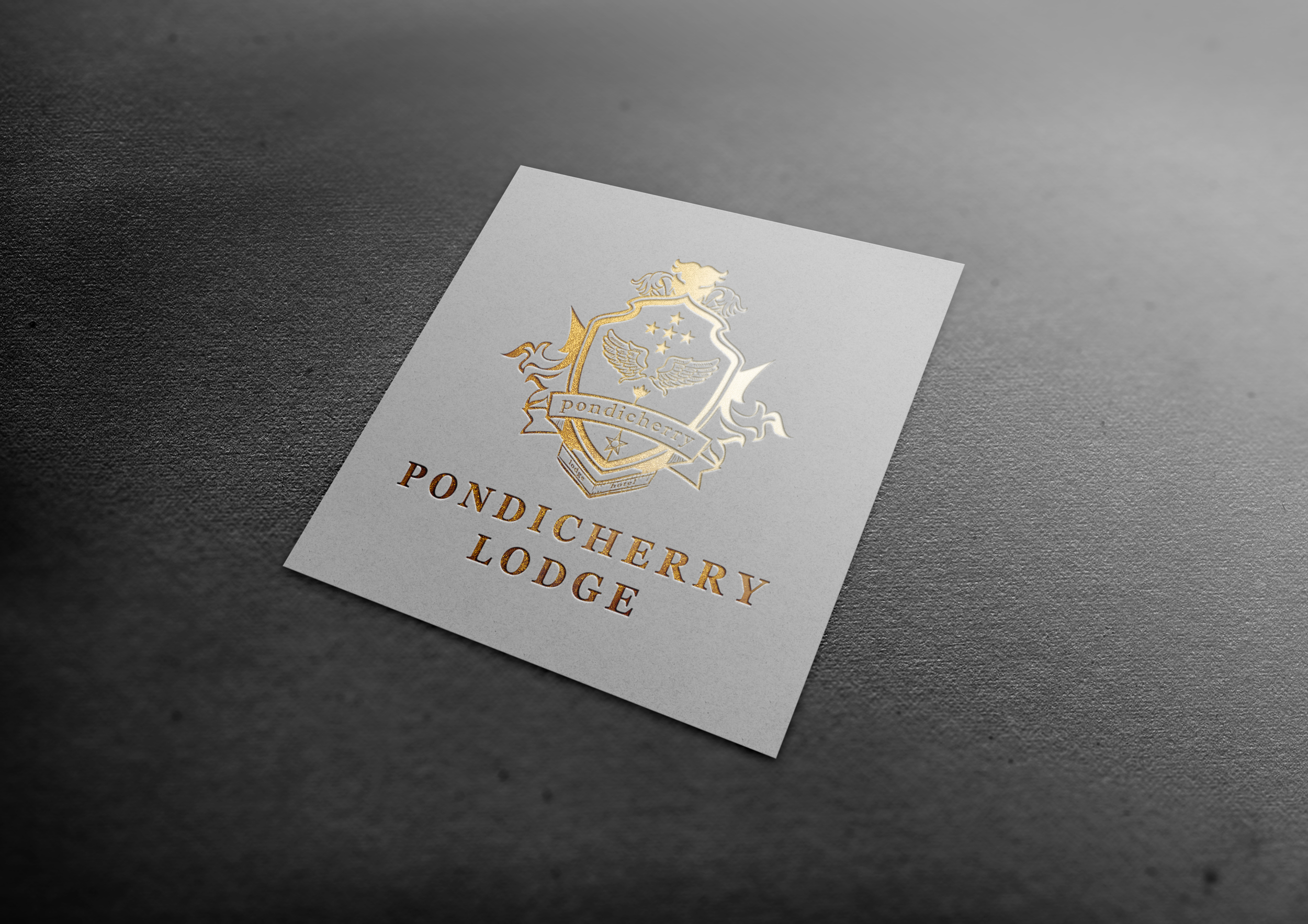 Pondi logo mockup2.jpg