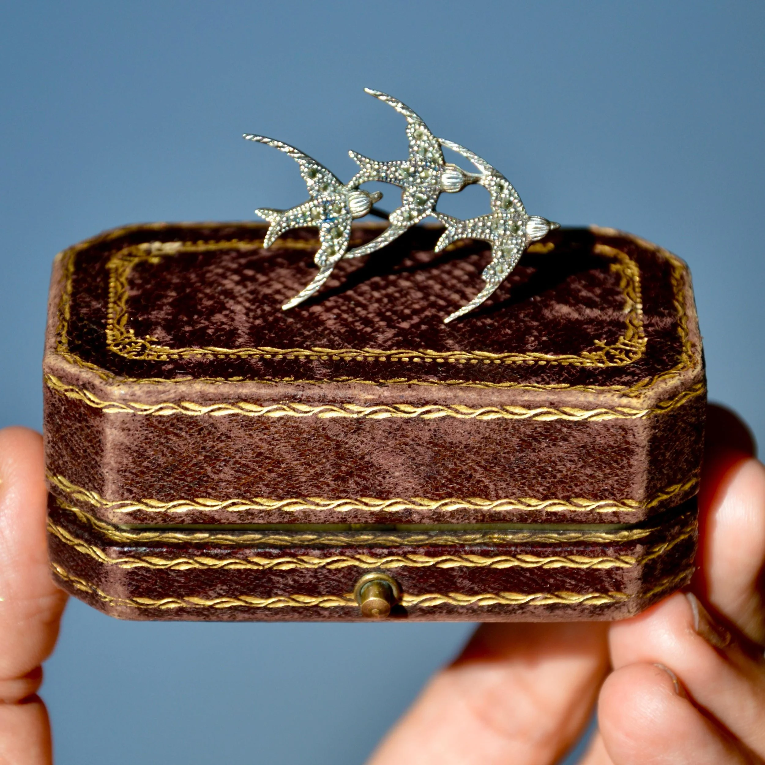 https://i.etsystatic.com/21152721/r/il/f2d661/8228467116/il_fullxfull.8228467116_779u.jpg
