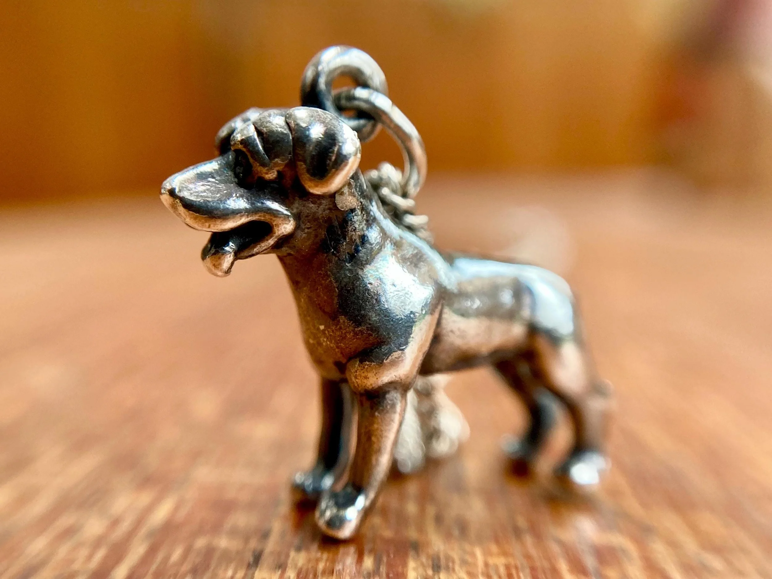 https://i.etsystatic.com/21152721/r/il/95e4e2/7709569399/il_fullxfull.7709569399_m99u.jpg