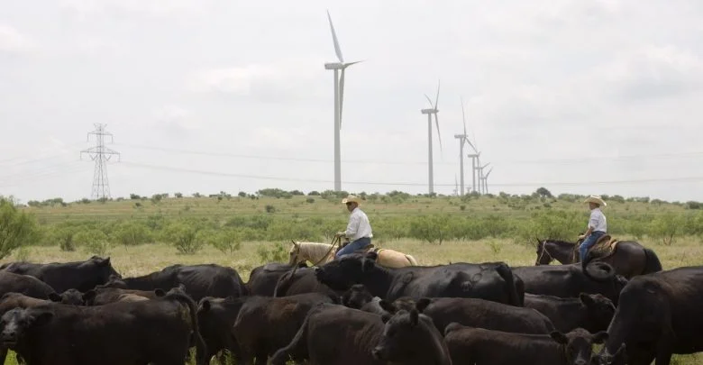 The-best-place-in-America-to-ramp-up-renewable-energy-could-be-Texas-780x405.jpg