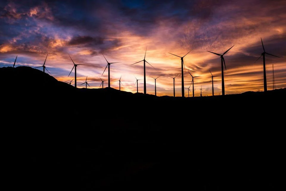 https___blogs-images.forbes.com_jamesellsmoor_files_2019_08_deloette02-1200x802.jpg