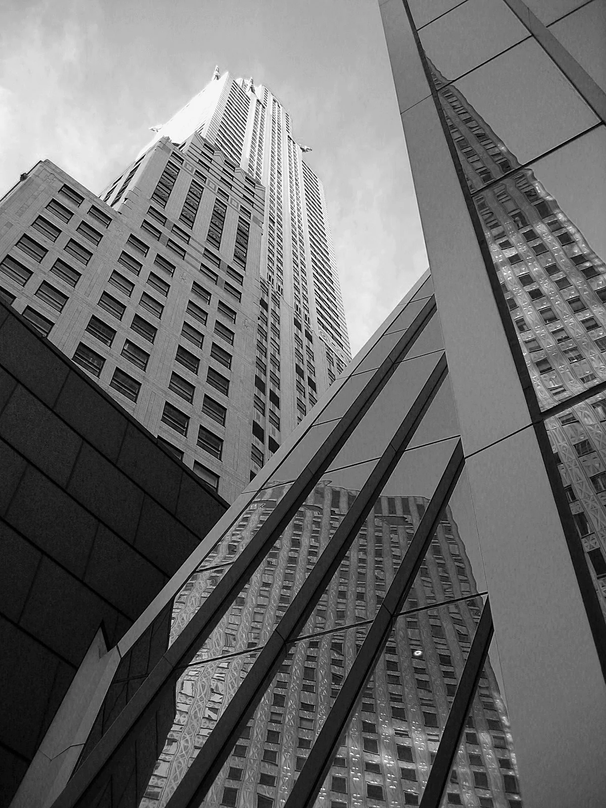 IMG_2361bw.jpg