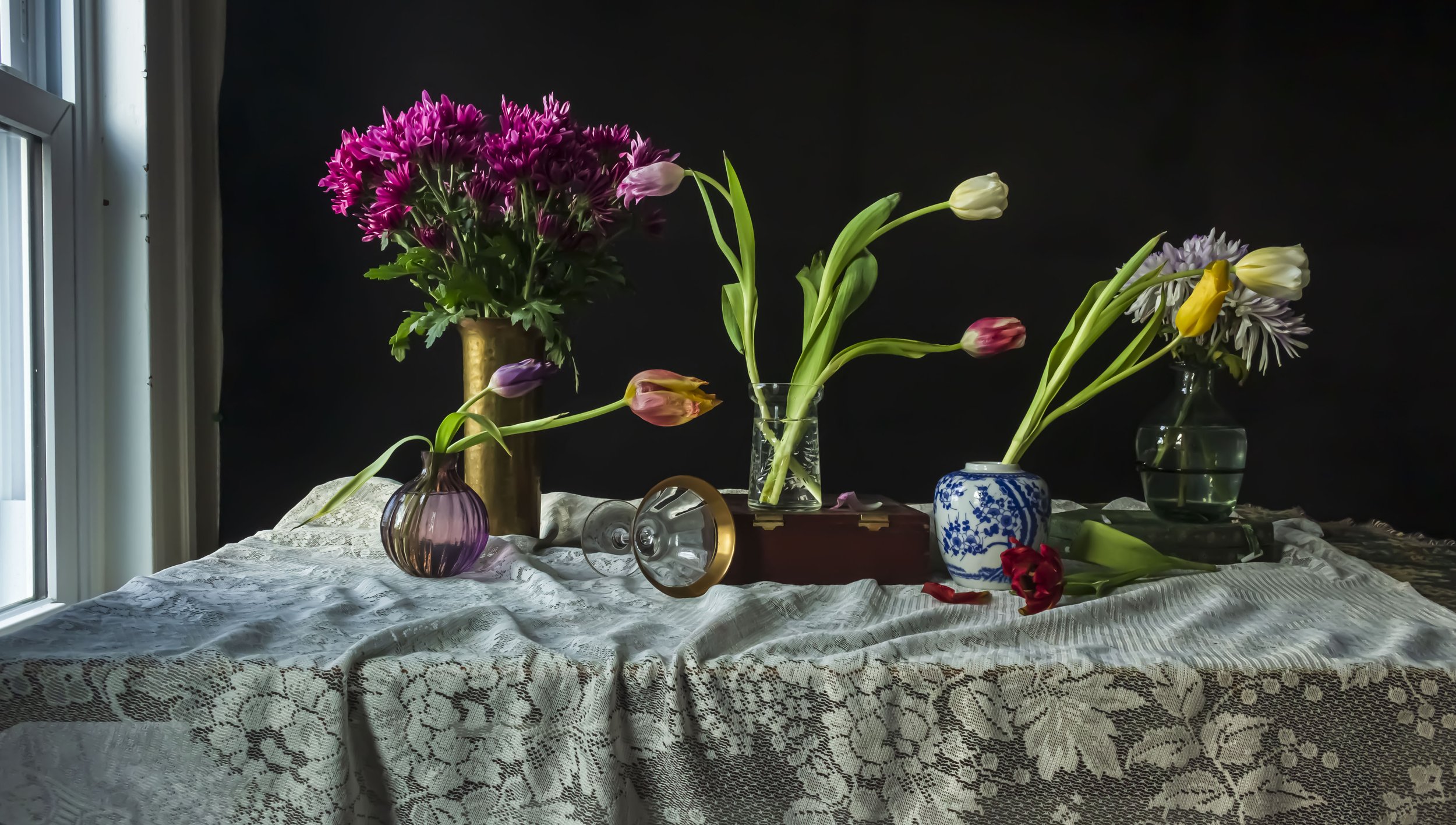 Chiaroscuro/Tulips/5