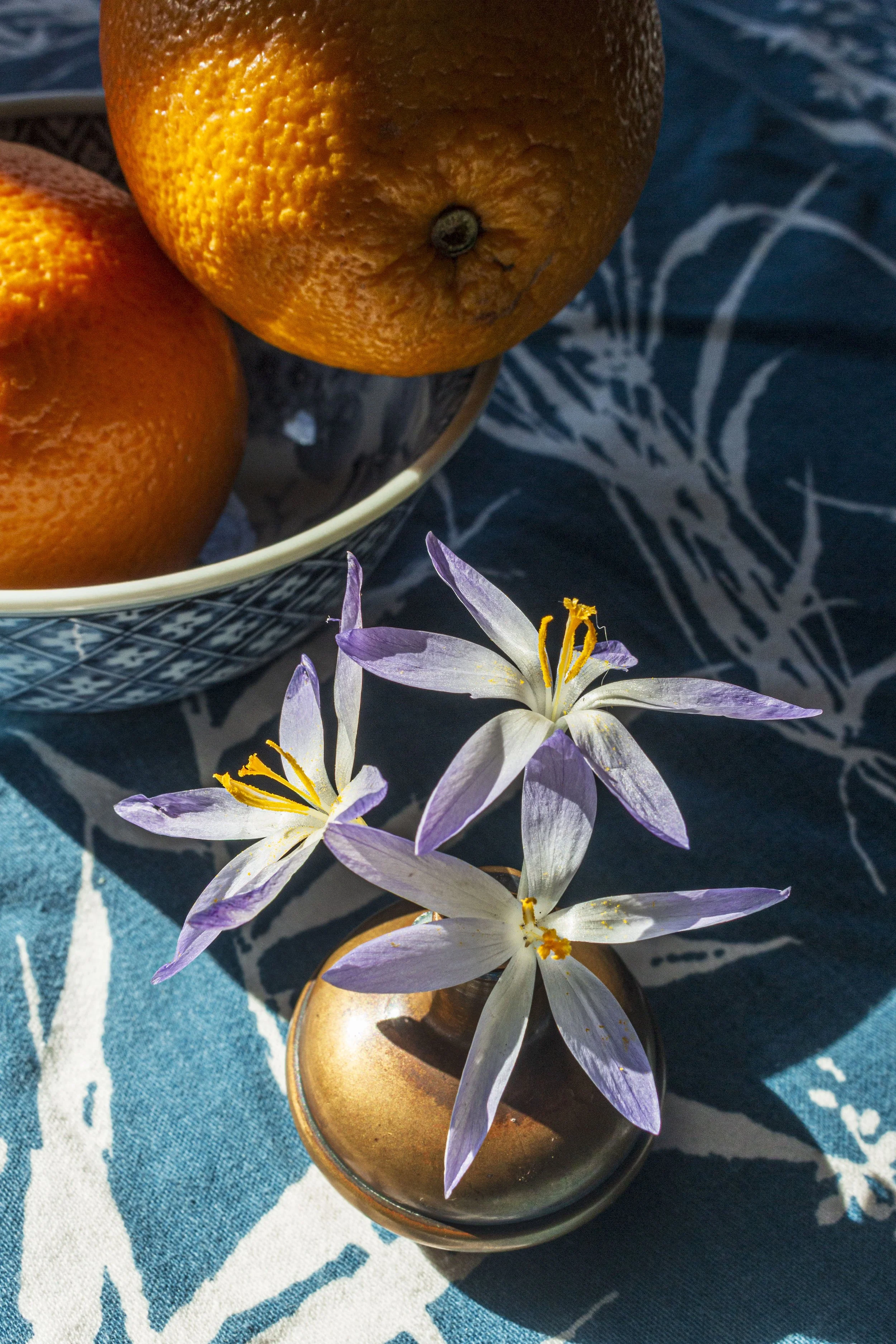 Orange and Blue