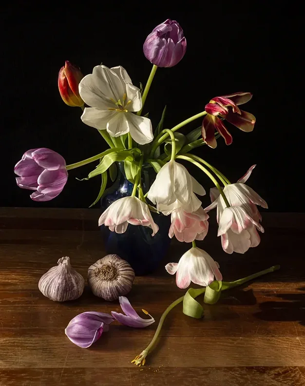 Chiaroscuro/Tulips/4