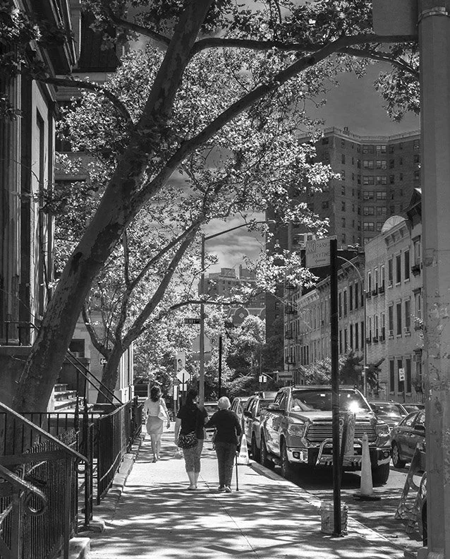 IMG_7070bw3.jpg
