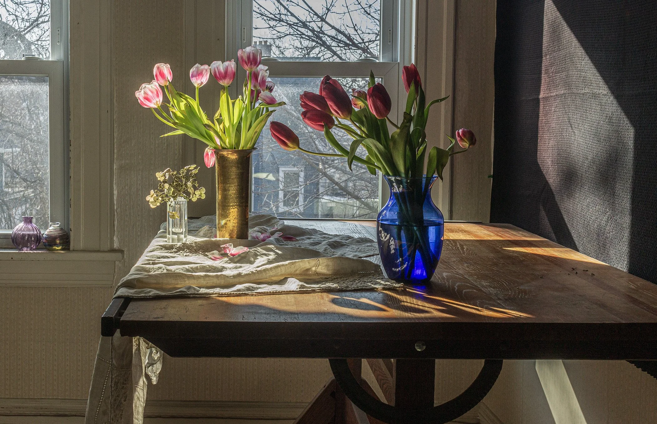 Spring Tulips