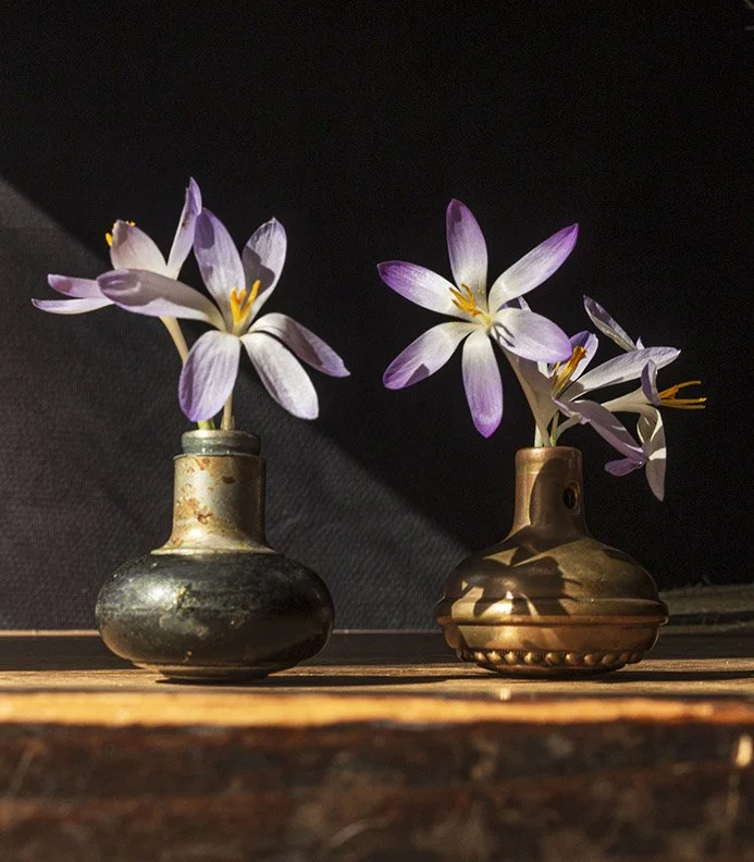 Crocus/2