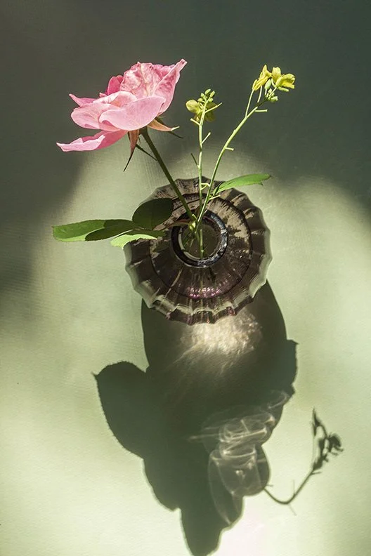 Green and Rose
