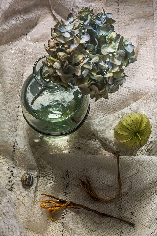 Still Life with Dried Flowers
