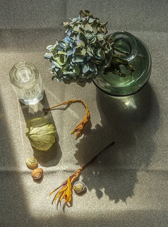 Still Life With Dried Flowers/2