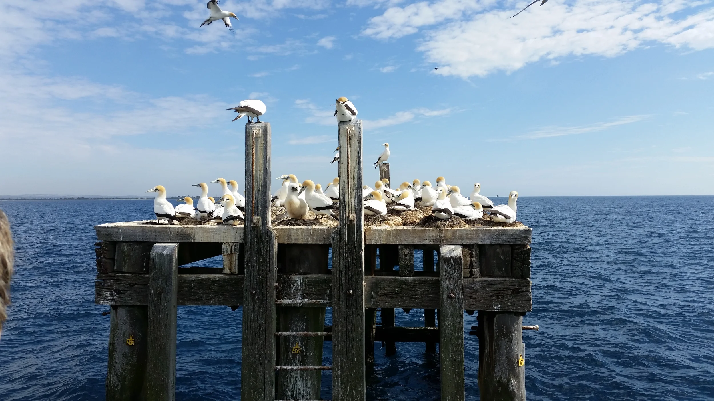 20141130_092651.jpg